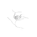 clapclap_virbomasseurdouble4.webp